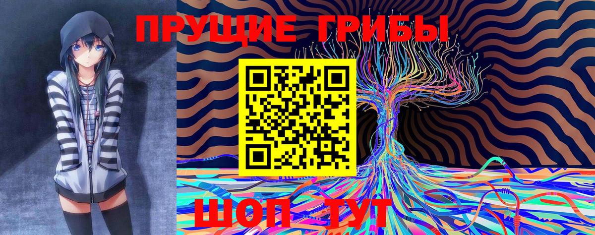 Галлюциногенные грибы Psilocybine cubensis Дедовск