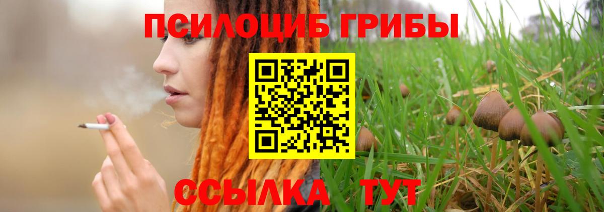 Дедовск  Псилоцибиновые грибы Magic Shrooms  Галлюциногенные грибы мухоморы  Вход с VPN 